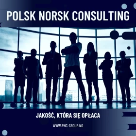 Polsk Norsk Consulting